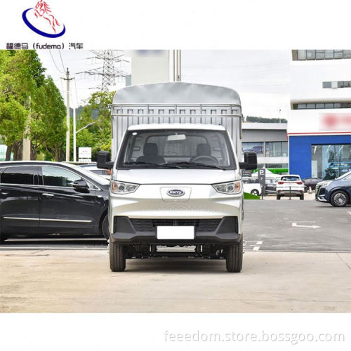 Ultra-Large Capacity Pure Electric Baby Elephant EV Electric Van New Energy  Halogen Front And Rear Lights